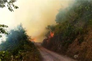 Voraz incendio 