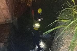Bomberos realizaron el rescate 