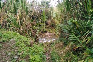 Las autoridades siguen recopilando datos que les permita avanzar en la investigación.