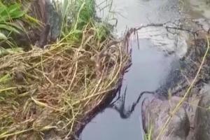 El accidente pudo provocar derrame 