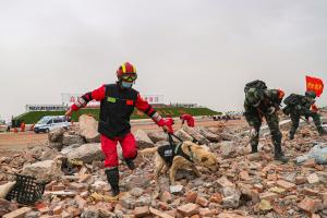 Terremoto en China