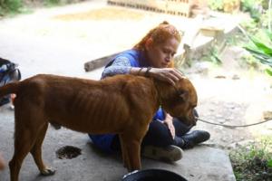 Las mascotas recibirán atención en primeros auxilios gracias a este Fondo.