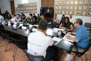 Consejo de Seguridad en Cúcuta