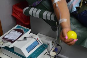 Donación de sangre (referencia)