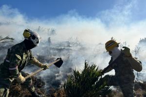 Más de 200 hectáreas de terreno han resultado afectadas por la emergencia.