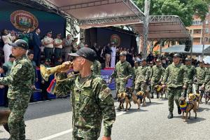 La carrera 27 de Bucaramanga se vistió de amarillo, azul y rojo.