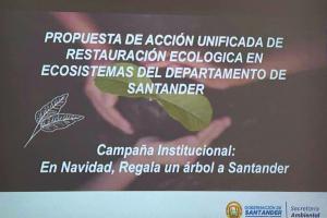 Programa de reforestación en Santander