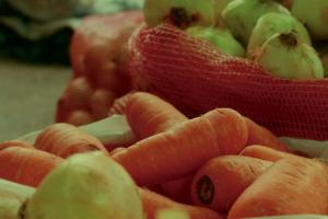 Imagen de referencia de verduras