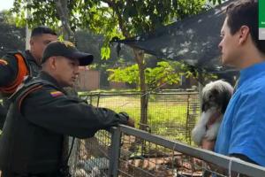 Rescate de animales en criadero clandestino en Bucaramanga