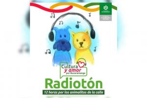 Radiotón: Campaña de recolección de comida para animales sin hogar