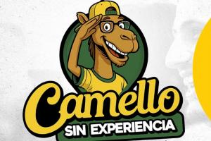 Camello sin experiencia - Proyecto presentado al Concejo de Bucaramanga