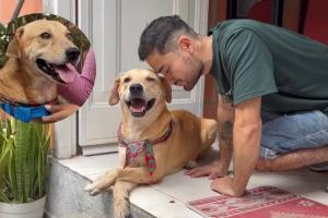 Pachito, el perrito que fue enterrado vivo y ahora tiene nuevo hogar