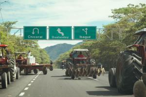 Paro Arrocero | Arroceros Tolima | Gremio Arrocero | Julio 2025