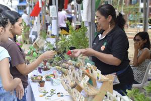 Negocios verdes en Bucaramanga