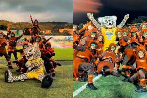 Hormigas culonas de Santander