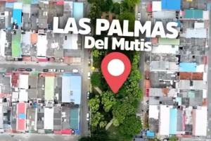 Parque Las Palmas, del barrio Mutis (Bucaramanga)