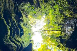 Secretaría de Cultura y Turismo de Santander / Contenido Patrocinado