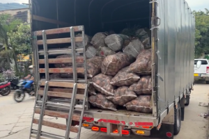 Papatón en Santander