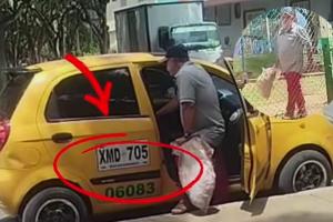 Taxista abandonó un gato en Bucaramanga