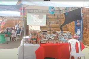 Festival del Bocado y La Hormiga Culona.