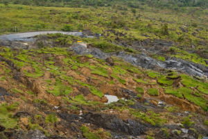 Transversal del Carare 