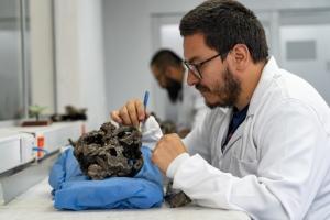 Mosasaurio excepcionalmente conservado