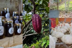 Productos de Rionegro (Santander)