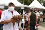 Más de 45 campesinos de Piedecuesta venderán sus productos en el parque principal 