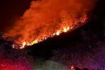 Un incendio de gran magnitud se presenta desde las ocho de la noche  de este martes 31 de enero.