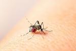 Dengue