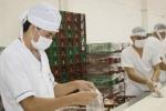 Desde de heces de animales, canastillas sucias donde se almacenan los alimentos, techos, paredes en mal estado hasta sifones sin rejillas están algunas instituciones de Santander. 