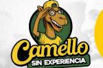 Camello sin experiencia - Proyecto presentado al Concejo de Bucaramanga