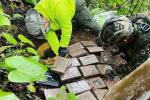 Incautación de cocaína en Norte de Santander