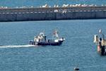 Israel intercepta un barco de la flotilla Sumud