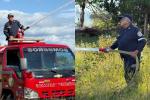 Bomberos voluntarios de Cimitarra