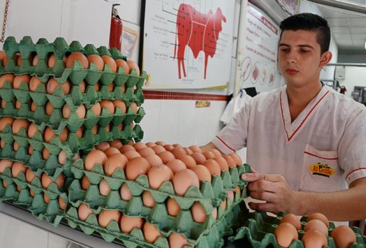 Comerciante de huevos