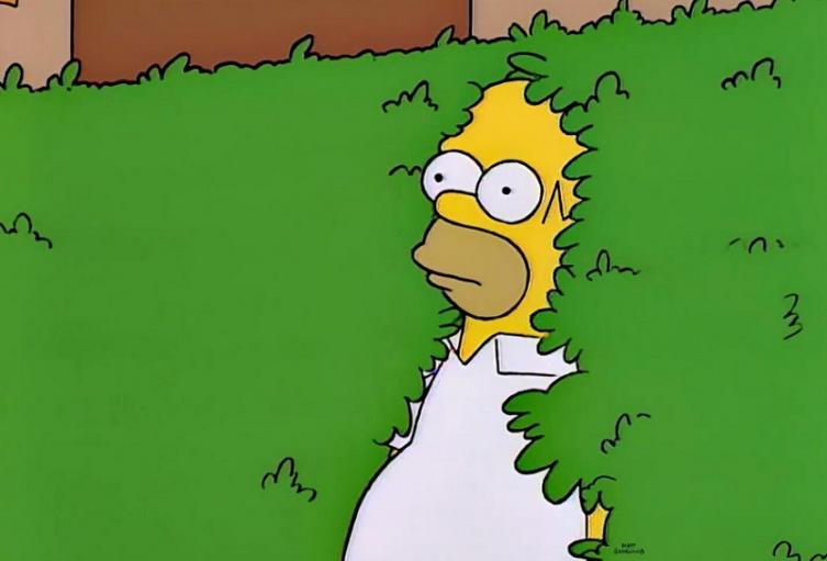 Homero Simpson