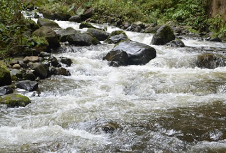 Río Combeima