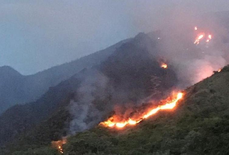 Se han consumido 10.992 hectáreas en 392 emergencias