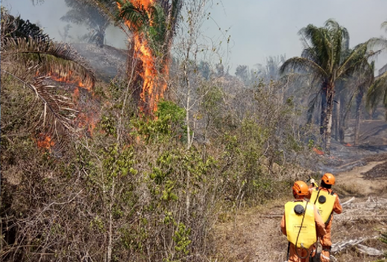 Defensa Civil estará la siguiente semana atento para que no se reavive el fuego