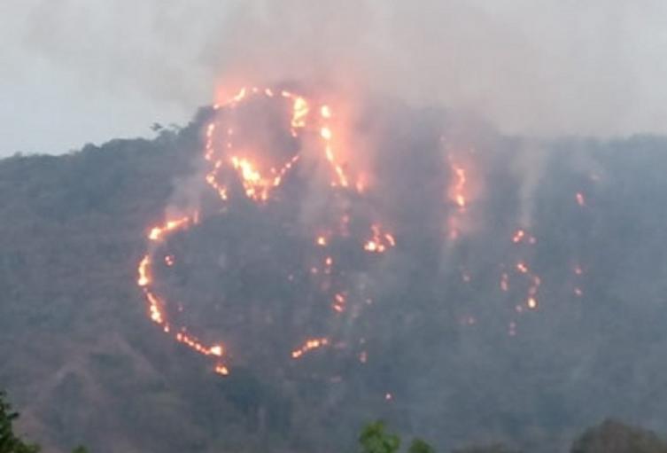 A pesar de las lluvias se presentan incendios forestales