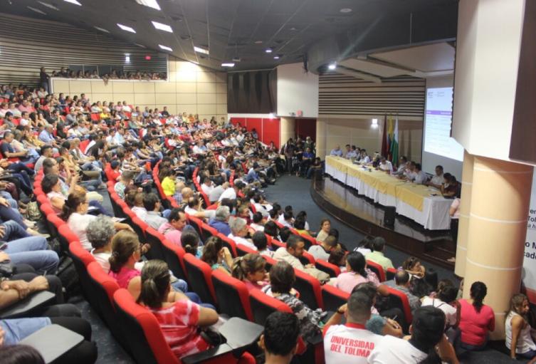 Universidad del Tolima
