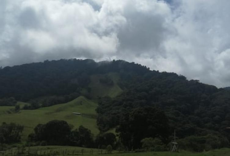 Cortolima participó en el encuentro de Autoridades Ambientales