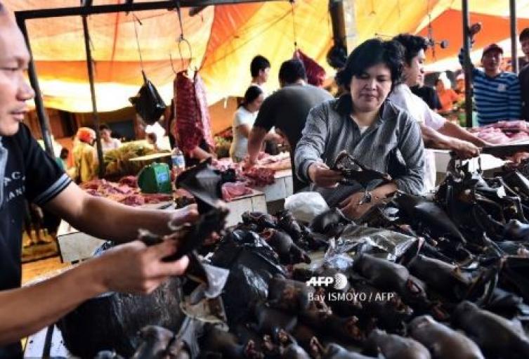 Mercado animal en la Chins