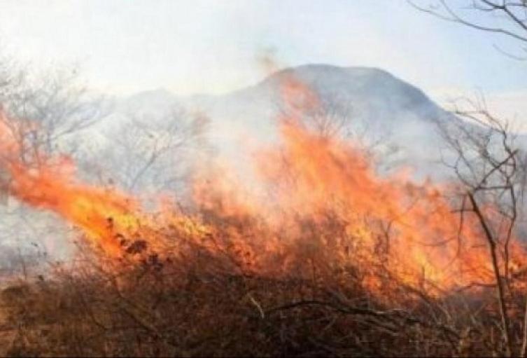 Se han presentado 769 incendios de cobertura vegetal en todo el país, de los cuales 765 han sido liquidados en su totalidad