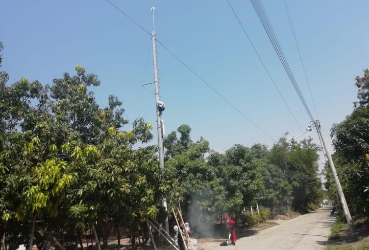 Hombre atacado por abejas en Gualanday