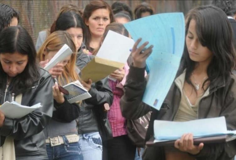 En 2019 el departamento del Tolima se ubicó primero en desempleo de mujeres con 20,3%, por encima de Chocó con 19,8% y Cesar con 19,6%