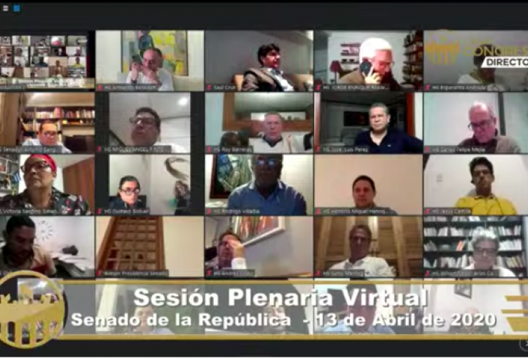 Sesión virtual Congreso
