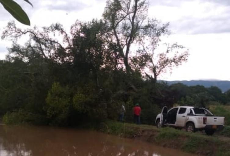 En el municipio de Saldaña, Vereda San Agustín, se produjo la caída de un árbol provocando la muerte de una persona