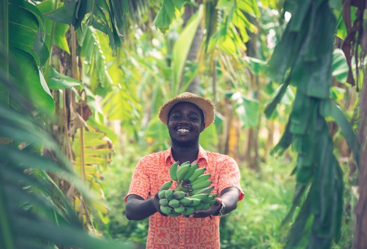 En 2019 se atendieron 331.871 productores, de los cuales el 39% recibieron crédito en condiciones FINAGRO por primera vez.